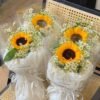 Mini Sunshine & Daisy