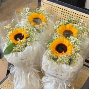 Mini Sunshine & Daisy