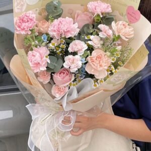 A Hug in Carnations