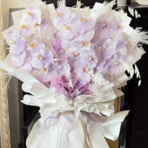 (Pre-order) Orchid Dreamscape