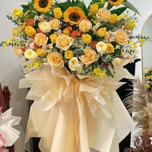 Premium Sunshine Stand