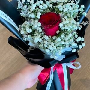 Scarlet Romance